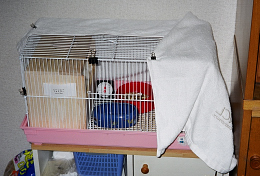 Small Cage