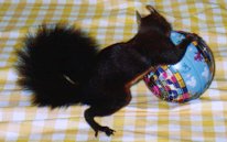 RRAړ